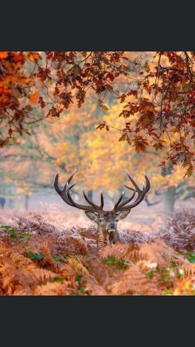 Maison Au Milieu Des Bois Et Des Animaux Jouy-le-Potier 외부 사진